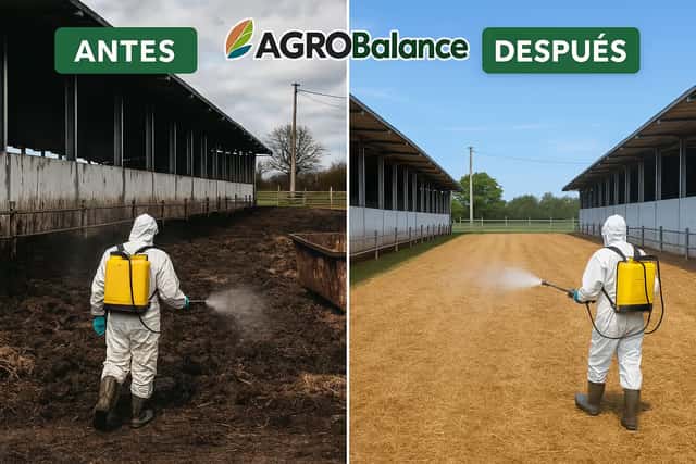 Agro Balance - vista 4